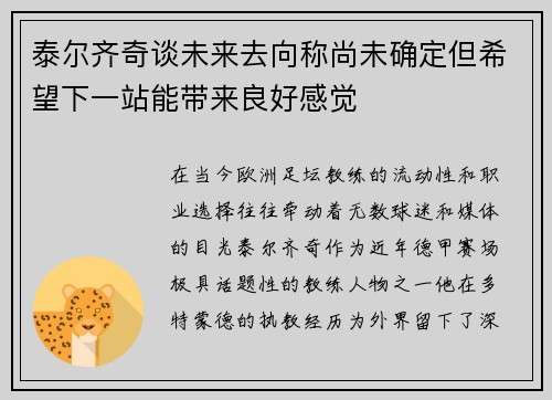 泰尔齐奇谈未来去向称尚未确定但希望下一站能带来良好感觉